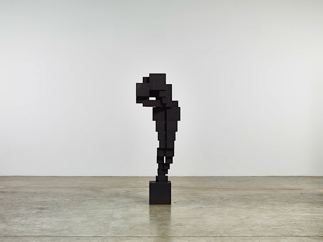 Antony Gormley. Human