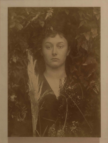 Julia Margaret Cameron  "Uno sguardo fuori fuoco"